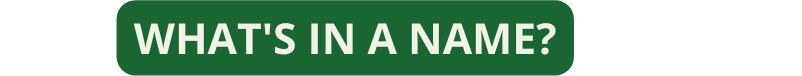 What s in a name
